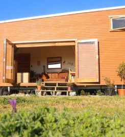Maple joy Cabin – Tiny home on wheels