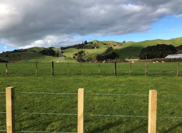 Beautiful Countryside Living Close to Auckland